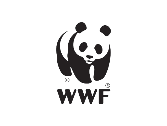 LOGO OF WWF